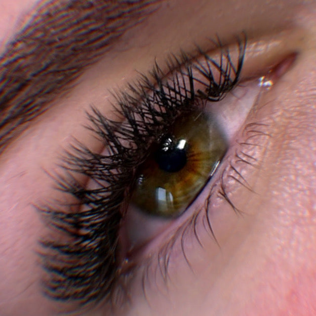 YY lashes