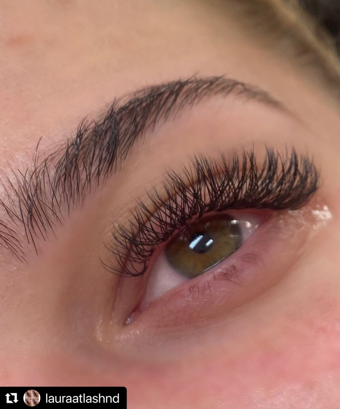 YY lashes